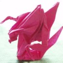 스타크레프트 이미지