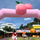 북영덕농협로컬푸드직매장