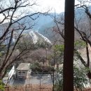 동수영중 앞 이미지