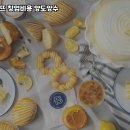 파리바게뜨의정부 - 의정부시 시민로 80 | 파리바게뜨의정부