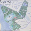 풍동 당산목 및 산치성 | 21.6.20 고양 풍동당산목-멱절산유적-독산봉수대-장의중정려-국사봉지석묘