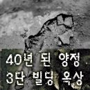 부산진구-3 이미지