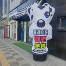 플레이독 남양주점 네이버블로그