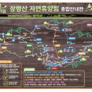 제130차 동하산악회 충북 옥천 장령산 정기산행 이미지