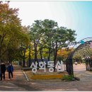 신천온누리약국 이미지