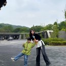 과천 서울대공원 동물원 오픈런 후기 ! +주차, 코끼리열차, 웨건대여, 요금