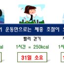 신나는 점핑 다이어트 - 성남시 분당구 | 신나는 점핑 다이어트