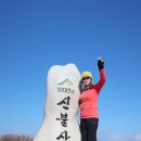 1159 | [울주] 신불산(神佛山·1159ｍ) 산행후기---2025년 1월 24일(금)