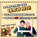성현태양광발전소 이미지