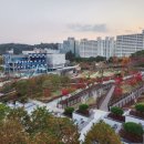 성남제1공단 근린공원 이미지