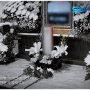 벽제농협 경제사업소 | 여의도성모병원장례식장 비용 주차요금 벽제승화원 화장 진행까지