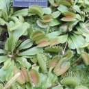 신남도서관 이미지