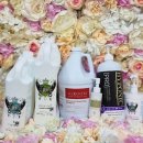 땡큐 펫 살롱 이미지