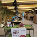 평택미한우명품관 | 대구 두산동 맛집 수성구 한우맛집 수성아일랜드 한우명품관 대구 본점