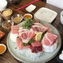 광주 첨단 참치 맛집 ‘참치연구소 이정우’ 참다랑어 후기