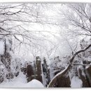 ♣2/2(토)국립공원 광주 무등산 서석대 눈꽃산행 이미지