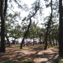 율포해수욕장 이미지