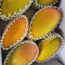 서홍농장 이미지