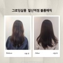 강서 효 | 강서구 발산역 미용실 그로잉살롱 볼륨매직 후기(송이 디자이너)