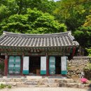 장흥군 보림사 Daum카페
