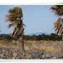 신천리해녀탈의장 이미지