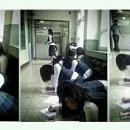 청벽거북 이미지