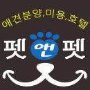 앤애견샵 이미지