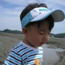 영흥도 해수욕장_영흥도 수산물센타 앞 항구_20080831어머니 생신겸 전 이미지