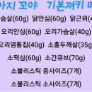 꼬야애견 이미지