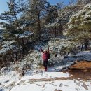 마당바위로 이미지