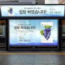 거봉