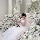 27년 | 인천 그레이스파티 웨딩홀 27년 상반기 후기 (계약❌,견적 공유⭕️)