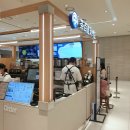 15 | 차백도 산본 피트인 신상 밀크티 우롱 소이빈 말차 푸딩 메뉴 솔직 후기