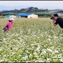 선운 농장 이미지