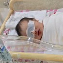 1001 | 개금미래여성병원 산후조리원 9박 10일 후기(1001호/황달치료/경혈마사지)