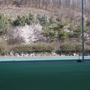 군포-산본-2009 이미지