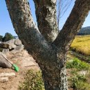 해암리 게바위 이미지