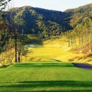 세일골프장 이미지