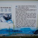 강정천(해군기지) 이미지