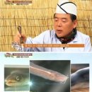 통영장어 이미지