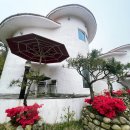 섬그린펜션 이미지