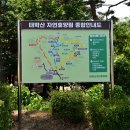 태학산자연휴양림 이미지