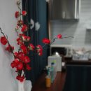 옛길펜션 | 경주벚꽃여행하고 숙소-옛길펜션 (내돈내산)