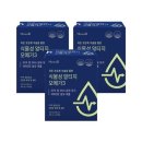 KGC라이프앤진 이미지