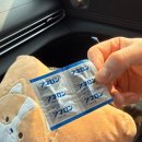 늑도낚시편의점 | 울진 후포항 2월 셋째주 볼락 캐스팅 선상 낚시 후기 : 박초딩호 / 손질