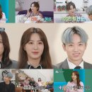 라이프메이트