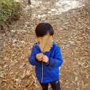 체험아이 이미지