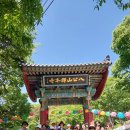 경산의 삽살개육종연구소 이미지