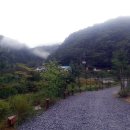 곰배누리 이미지