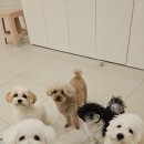 수영로유치원 이미지